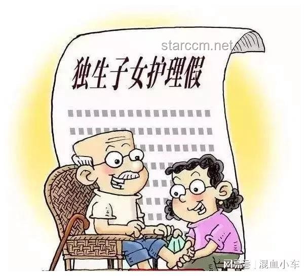 家庭养老困境与社会责任：母亲倒卧厕所6天事件的深度剖析